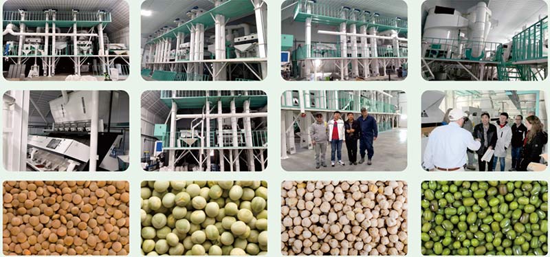 10-20TPH coffee bean cleaning line